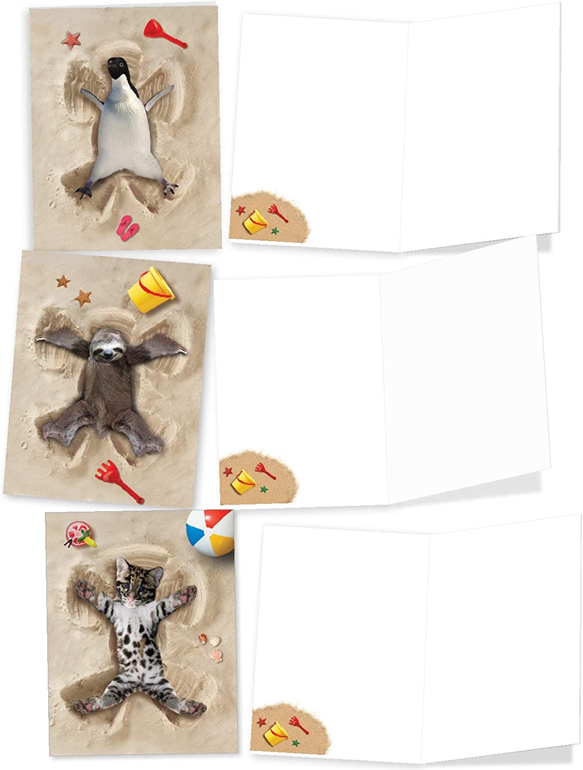 The Best Card Company - 10 Adorable Note Cards Blank (4 x 5.12 Inch) - Wildlife and Animal Cards, Assorted Boxed Kids Set - Sand Angels AM6844OCB-B1x10 - Image 5